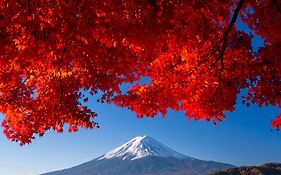 亀の井ホテル 富士